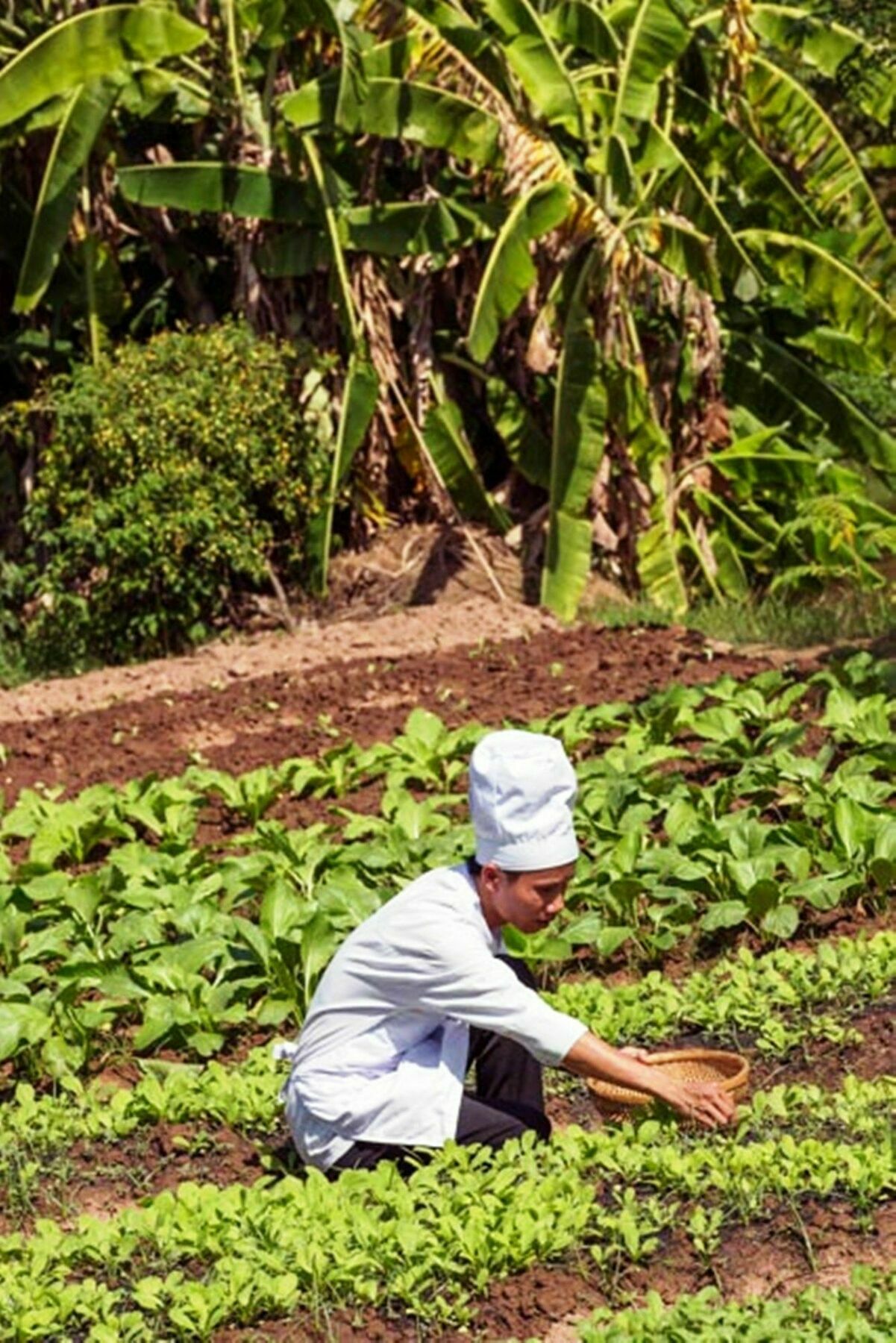 Mekong Riverside Boutique Resort & Spa Cai Be Esterno foto